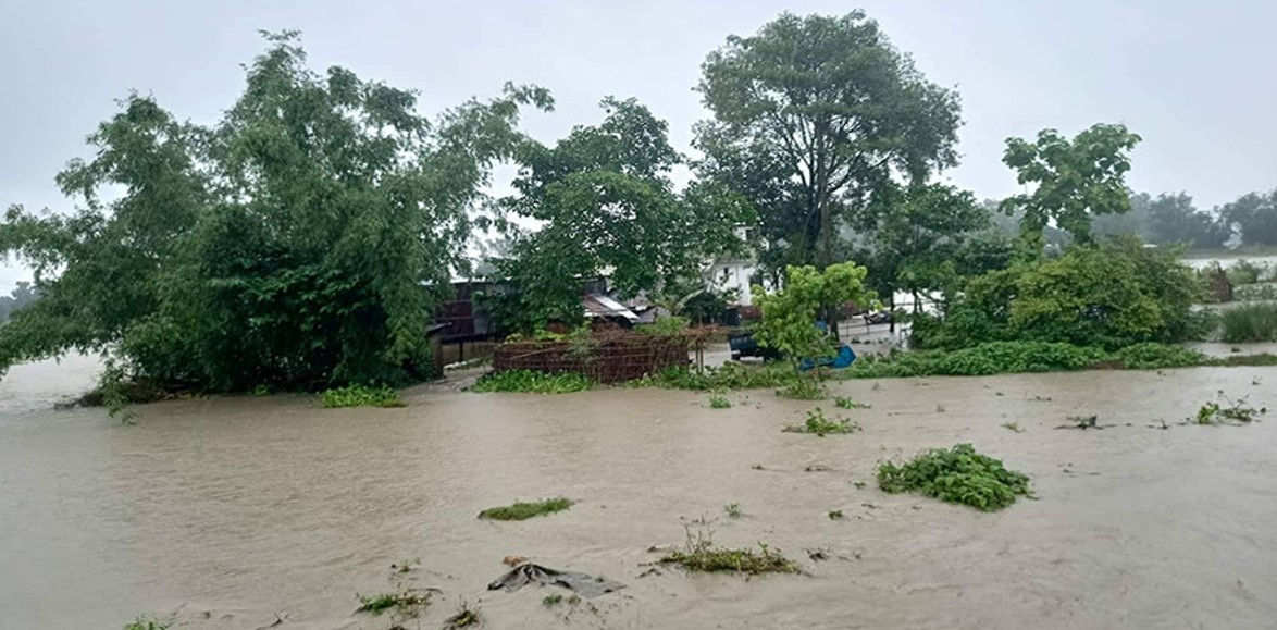 भारी वर्षाका कारण झापाका अधिकांश स्थान डुबानमा